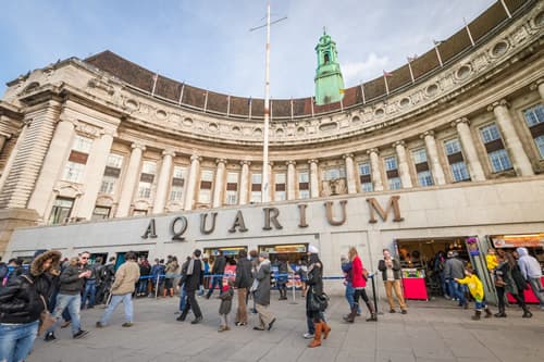 Top 10 Best Entertainment Centers In London 2026