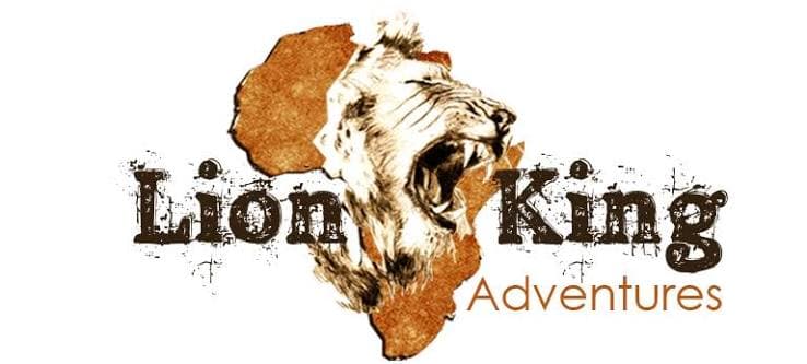 Top 10 Best Safari Companies In Tanzania 2026