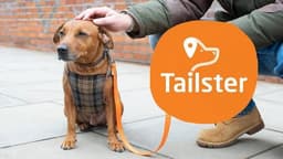 Top 10 Best Pet Care Services In UK 2026