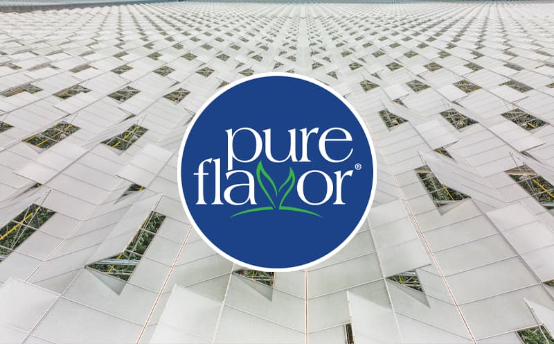 Top 10 Largest Greenhouse Produce Growers in USA 2026: The Surprising Growth Behind the Numbers