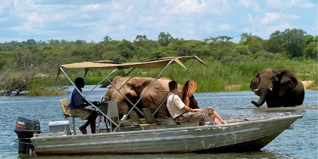 Safari Vacations: Chobe National Park & Game Reserve (Photos & Facts)