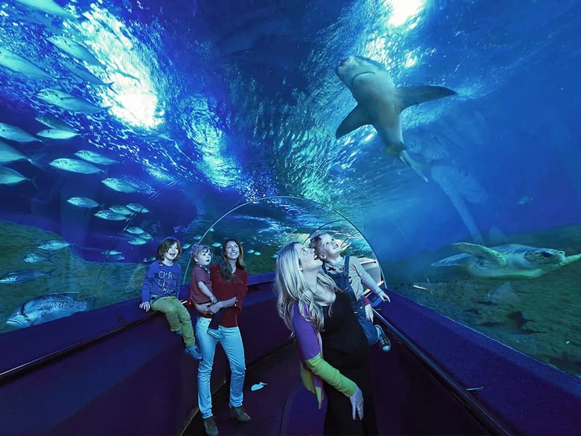 The Best And Largest Aquariums In The World