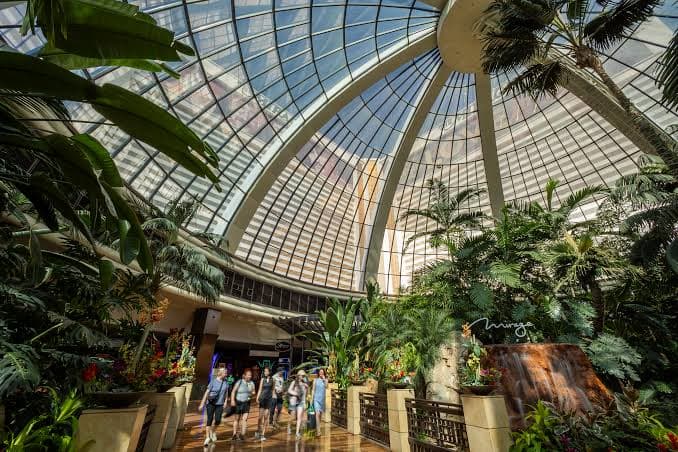 Top 10 Best Casino Hotels In Las Vegas 2025