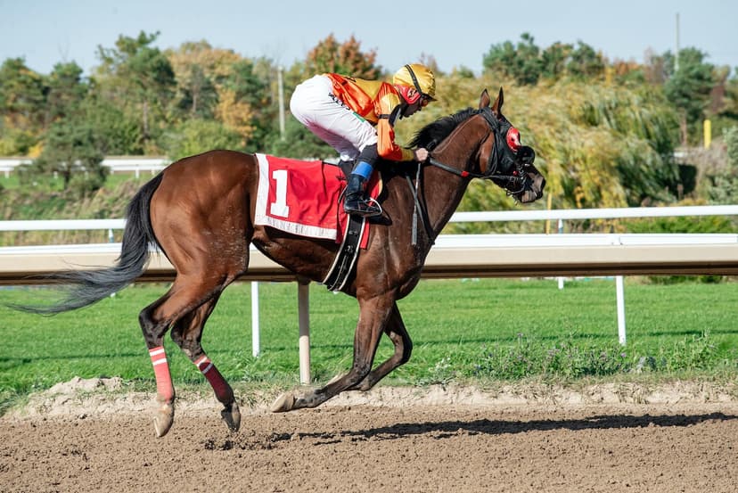 Who Are The Favorites For The Kentucky Derby After Arabian Knight Withdrawal?