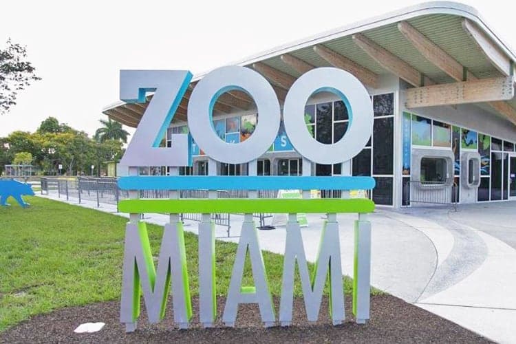 Top 10 Best Zoos In The USA Ranked 2026