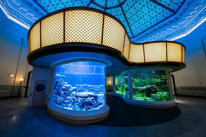 Top 10 Largest Aquariums In The World 2026