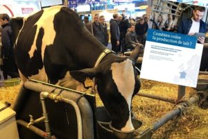 cow milk production 2020 world