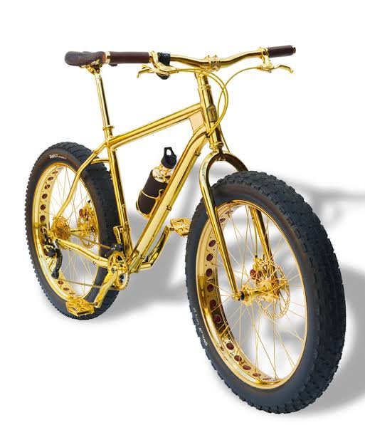 The most expensive mtb in store the world